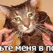 ЖенаДипломата