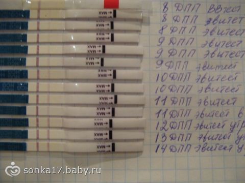 Тест на беременность не показал при эко Тест на беременность не показал при эко